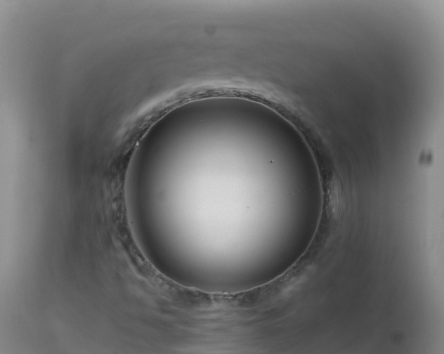 X0000112901494200908281712