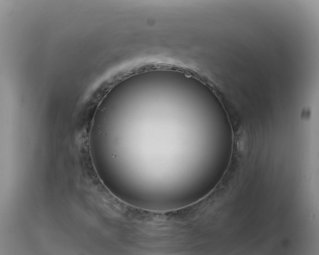 X0000112901495200908281712