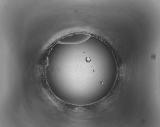 X0000112901496200908281712