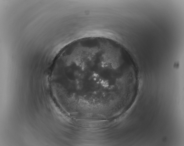 X0000112901497200908281712