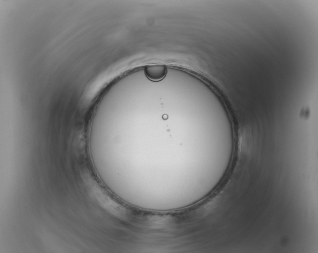 X0000112901498200908281712