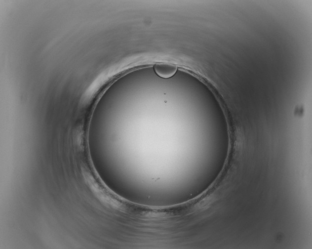 X0000112901499200908281712