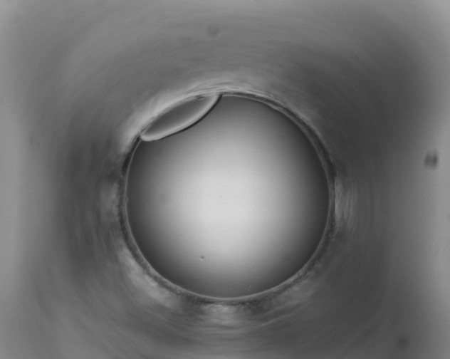 X0000112901500200908281712