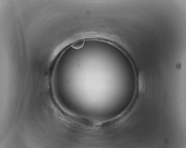 X0000112901501200908281712