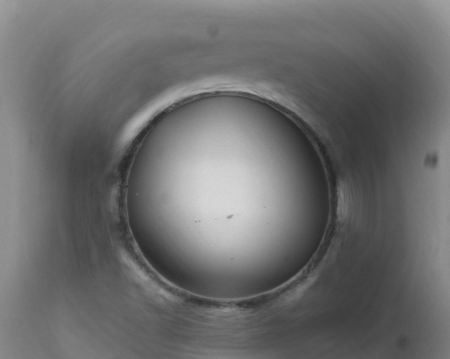 X0000112901502200908281712