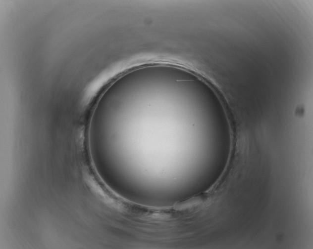 X0000112901503200908281712