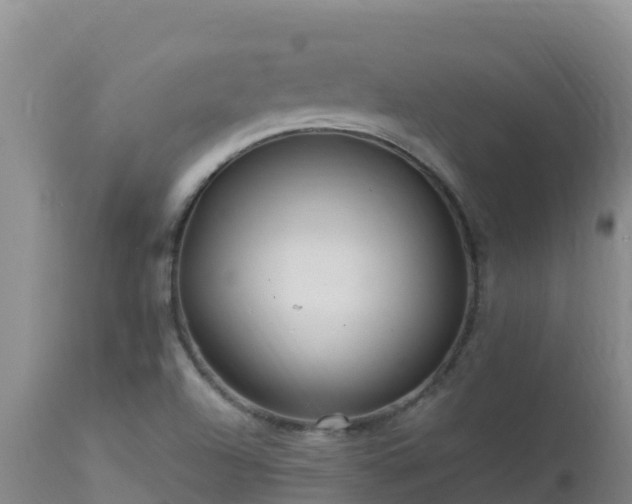 X0000112901504200908281712