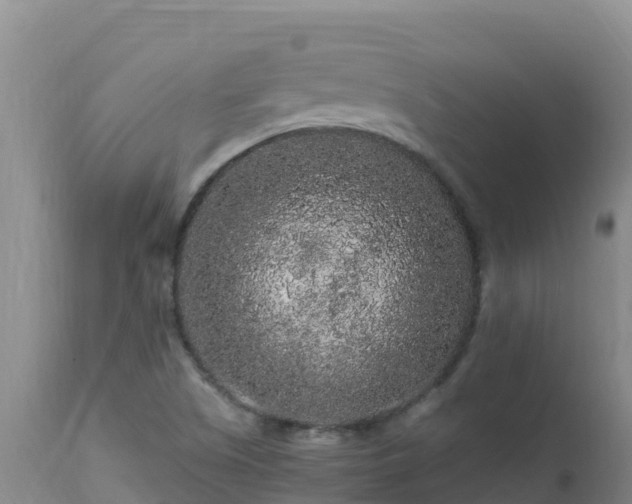 X0000112901505200908281712