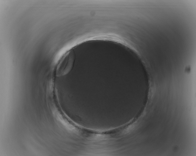 X0000112901506200908281712