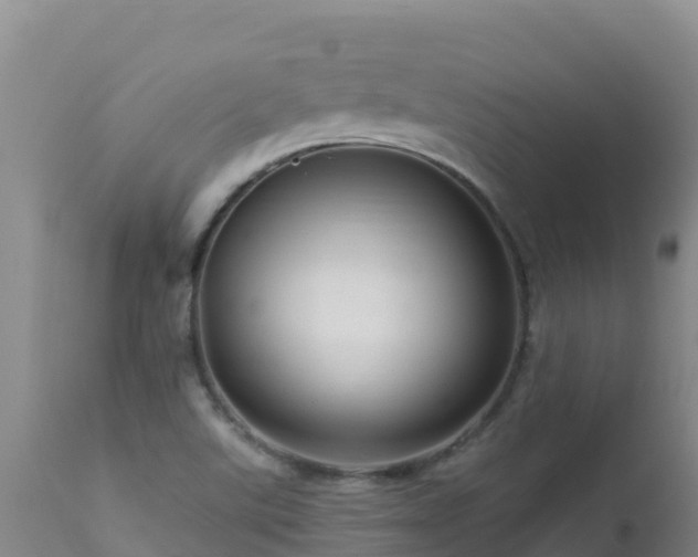 X0000112901507200908281712