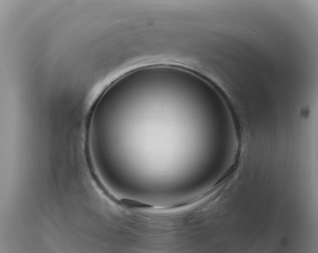 X0000112901508200908281712