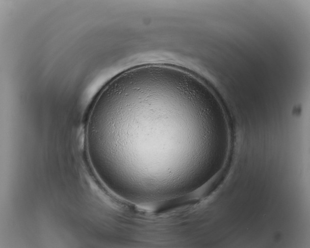 X0000112901509200908281712