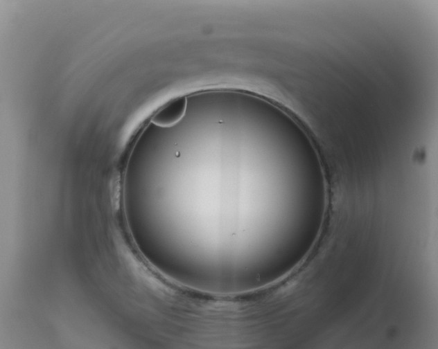 X0000112901510200908281712