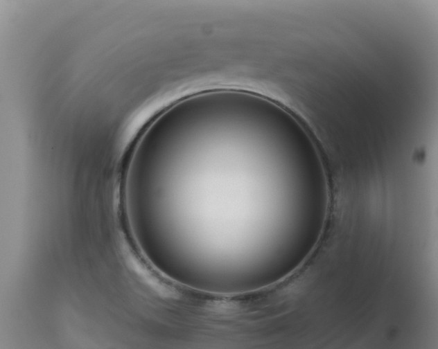 X0000112901511200908281712