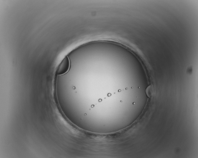 X0000112901512200908281712