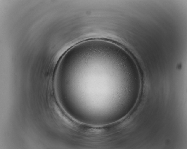 X0000112901513200908281712