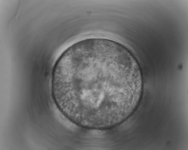 X0000112901514200908281712