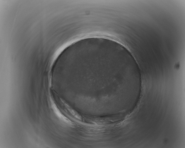 X0000112901515200908281712