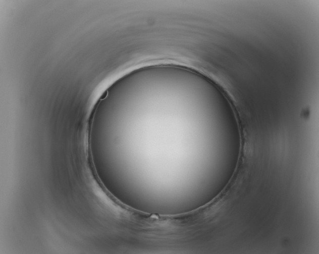 X0000112901516200908281712