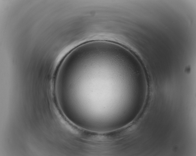 X0000112901517200908281712