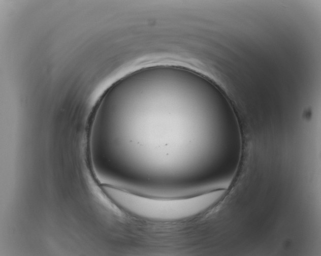 X0000112901518200908281712