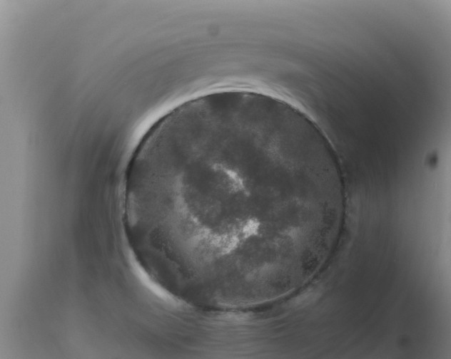 X0000112901519200908281712