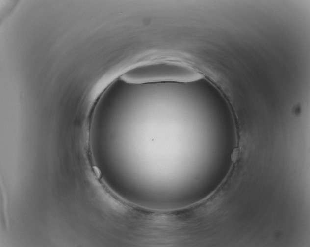 X0000112901520200908281712