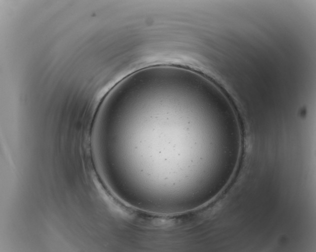 X0000112901521200908281712