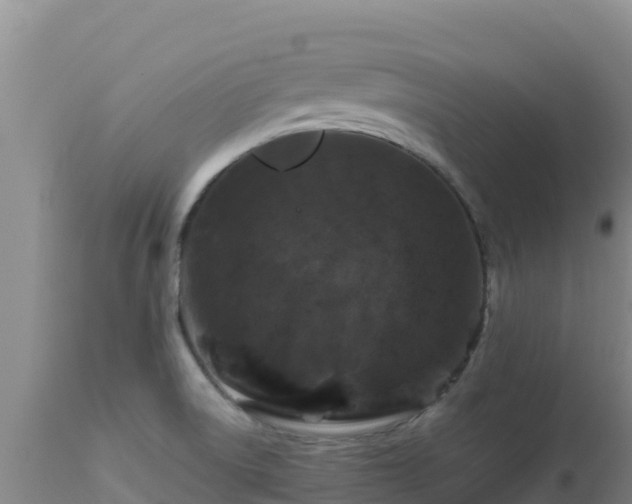 X0000112901522200908281712