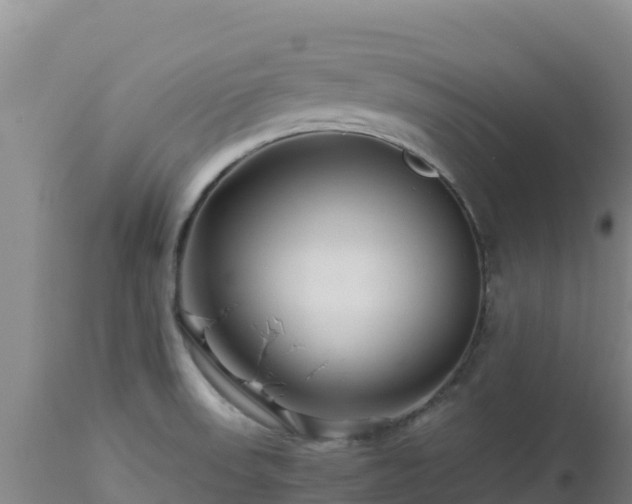 X0000112901523200908281712