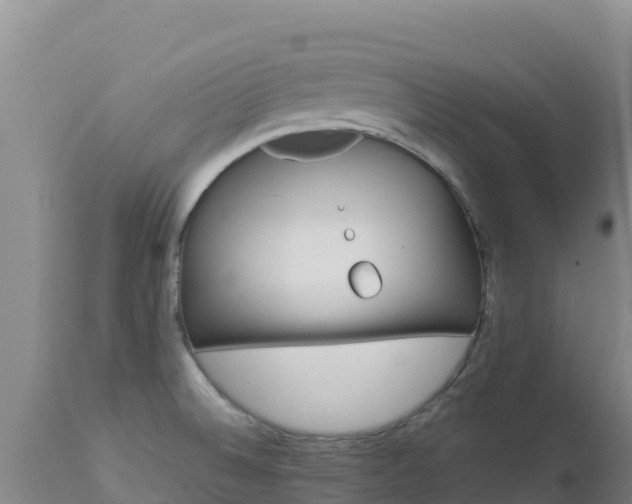 X0000112901524200908281712