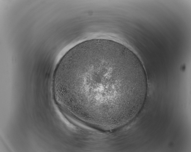 X0000112901525200908281712