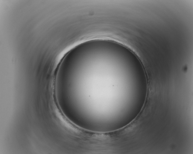 X0000112901526200908281712