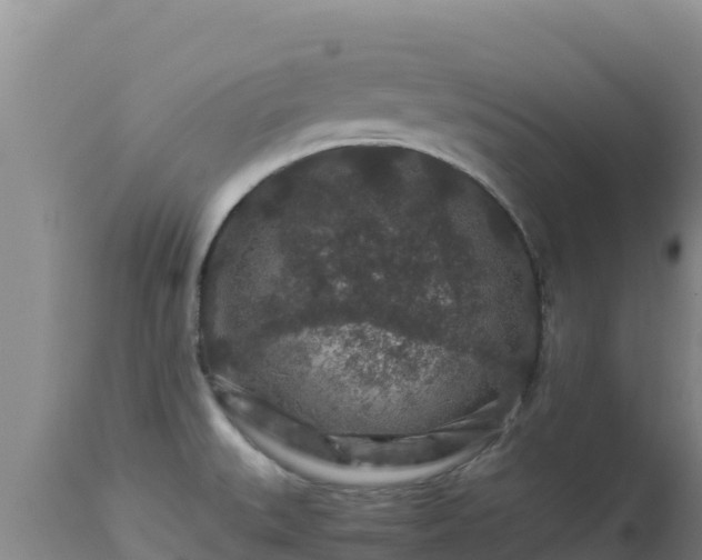 X0000112901527200908281712