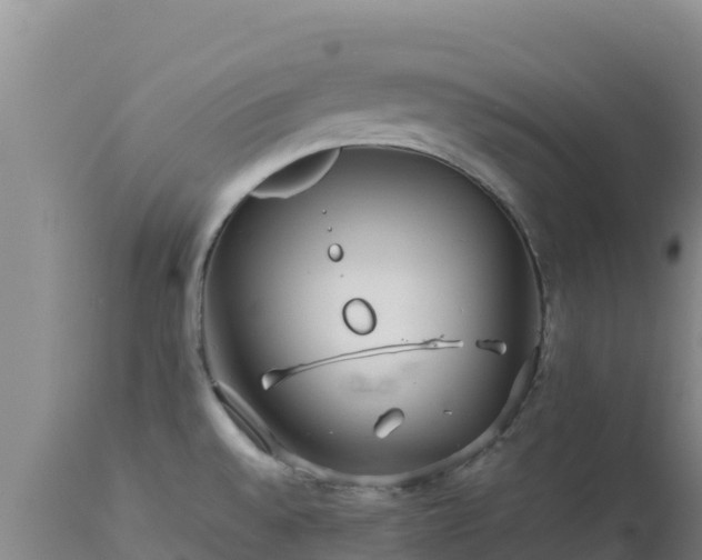 X0000112901528200908281712