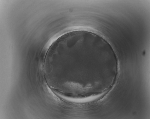 X0000112901529200908281712