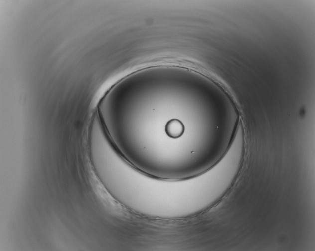 X0000112901530200908281712