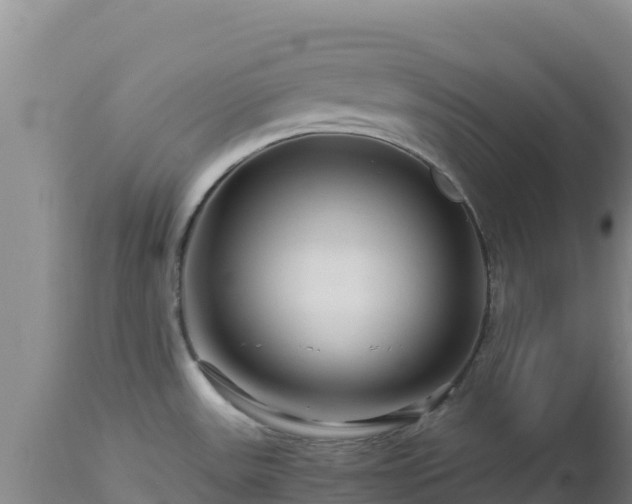 X0000112901531200908281712