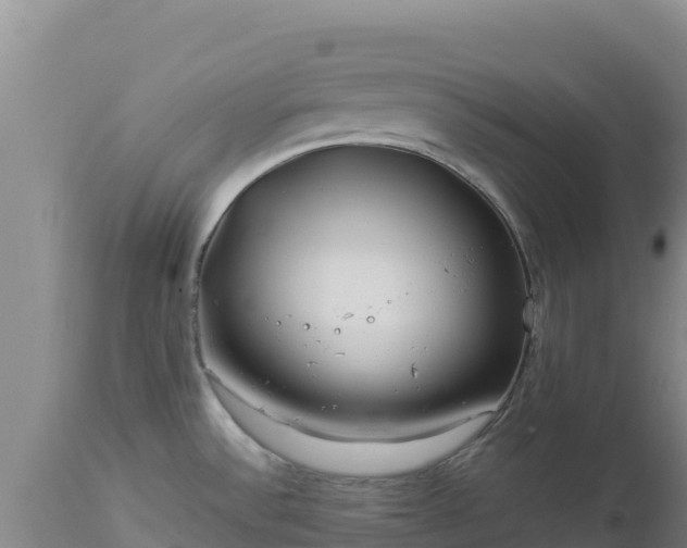 X0000112901532200908281712