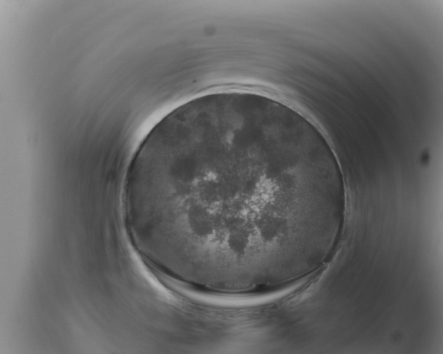 X0000112901533200908281712