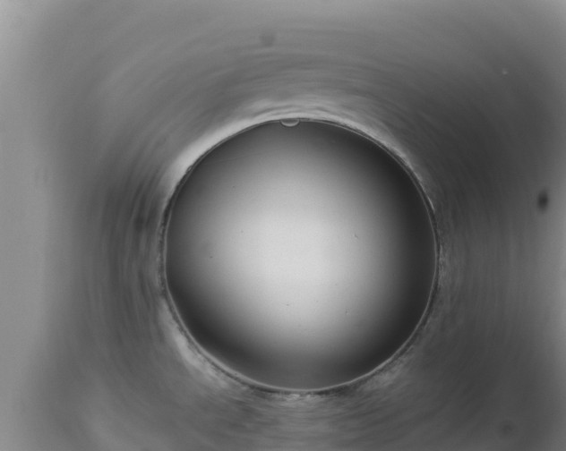 X0000112901534200908281712