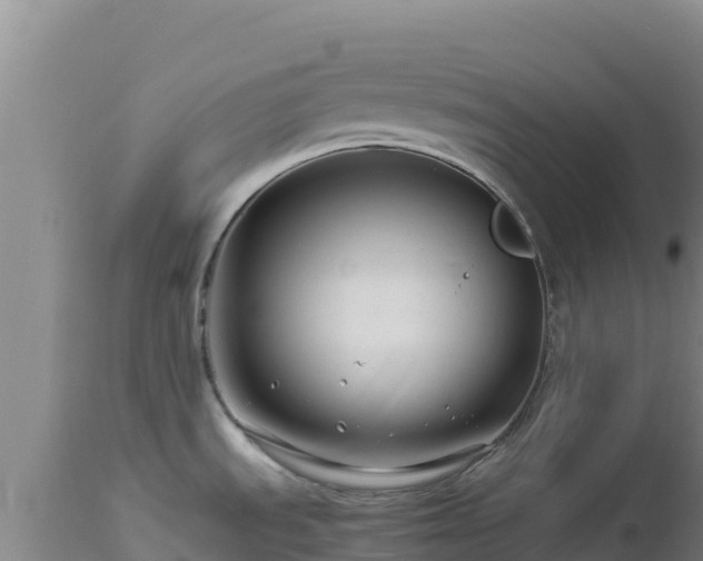 X0000112901535200908281712