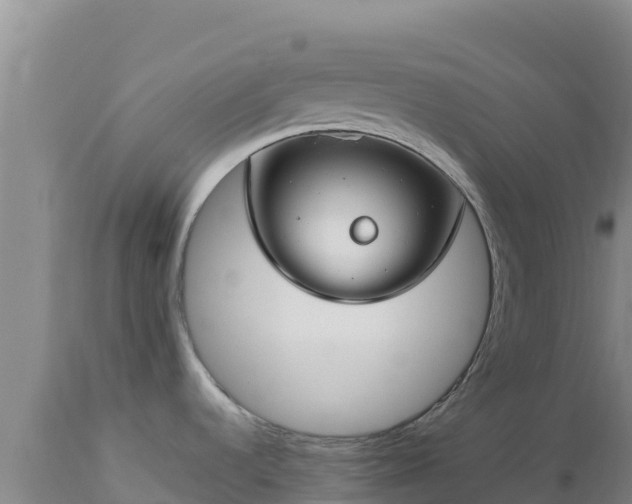 X0000112901536200908281712