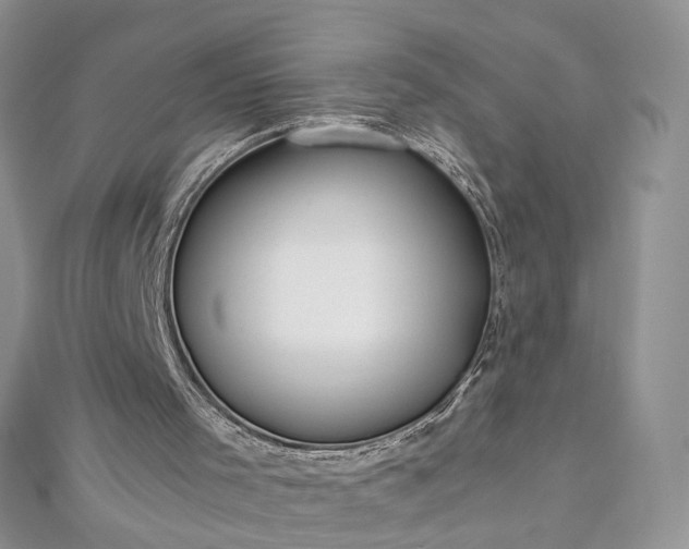 X0000112900001200909041732