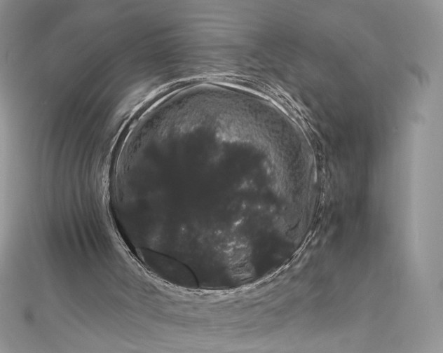 X0000112900002200909041732