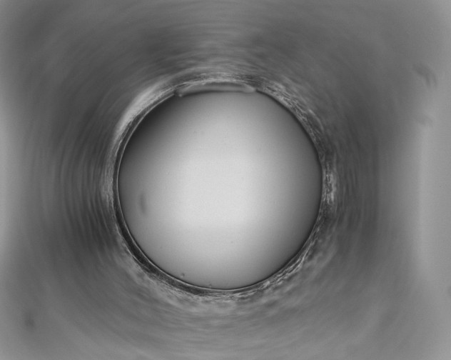 X0000112900004200909041732