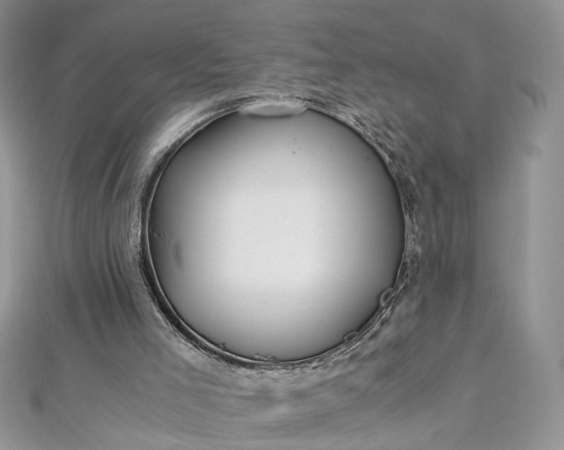 X0000112900005200909041732