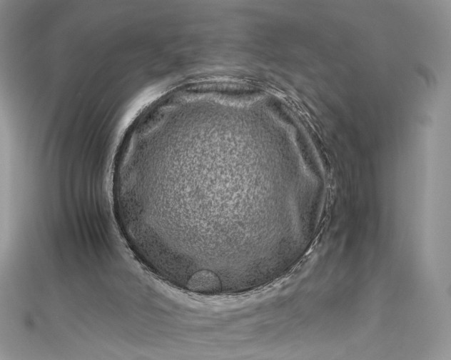 X0000112900006200909041732
