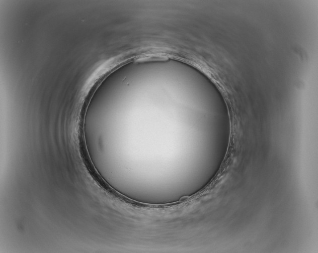 X0000112900007200909041732