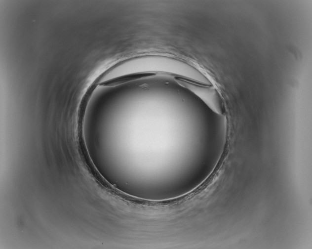 X0000112900008200909041732